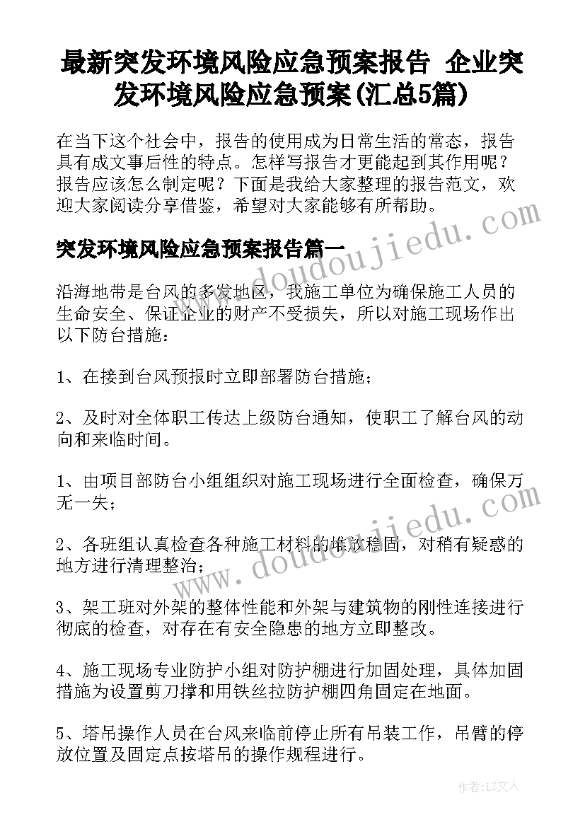 最新突发环境风险应急预案报告 企业突发环境风险应急预案(汇总5篇)