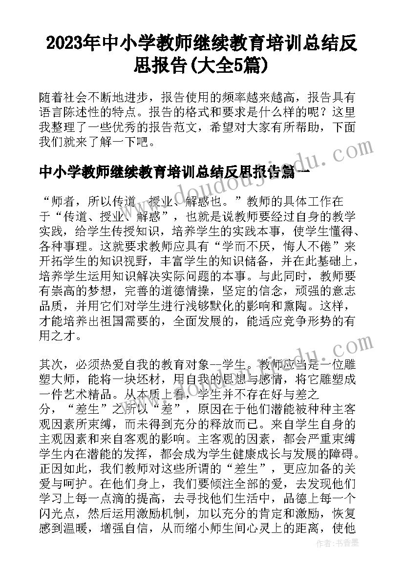 2023年中小学教师继续教育培训总结反思报告(大全5篇)