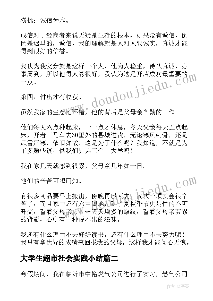 2023年大学生超市社会实践小结(大全5篇)