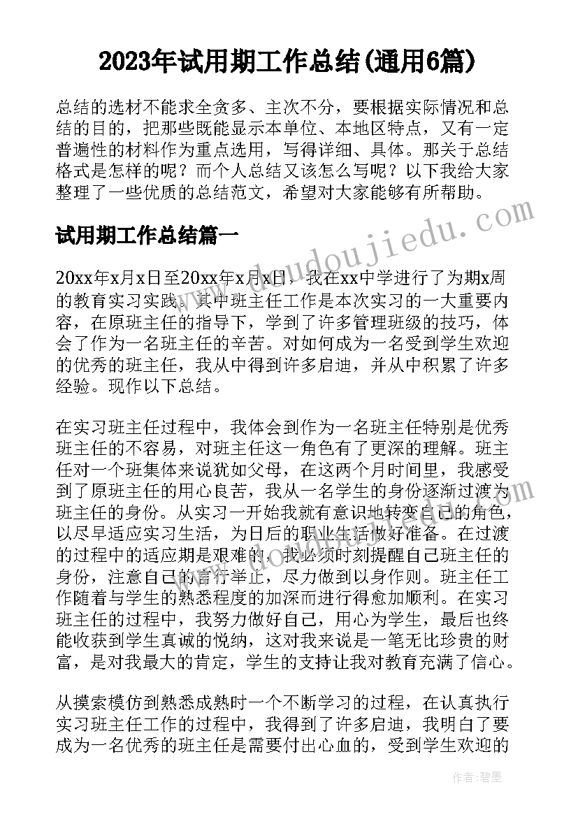 2023年试用期工作总结(通用6篇)