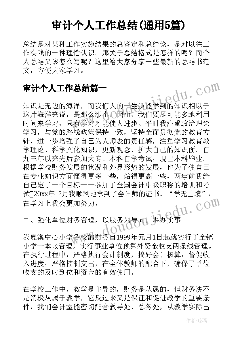 审计个人工作总结(通用5篇)