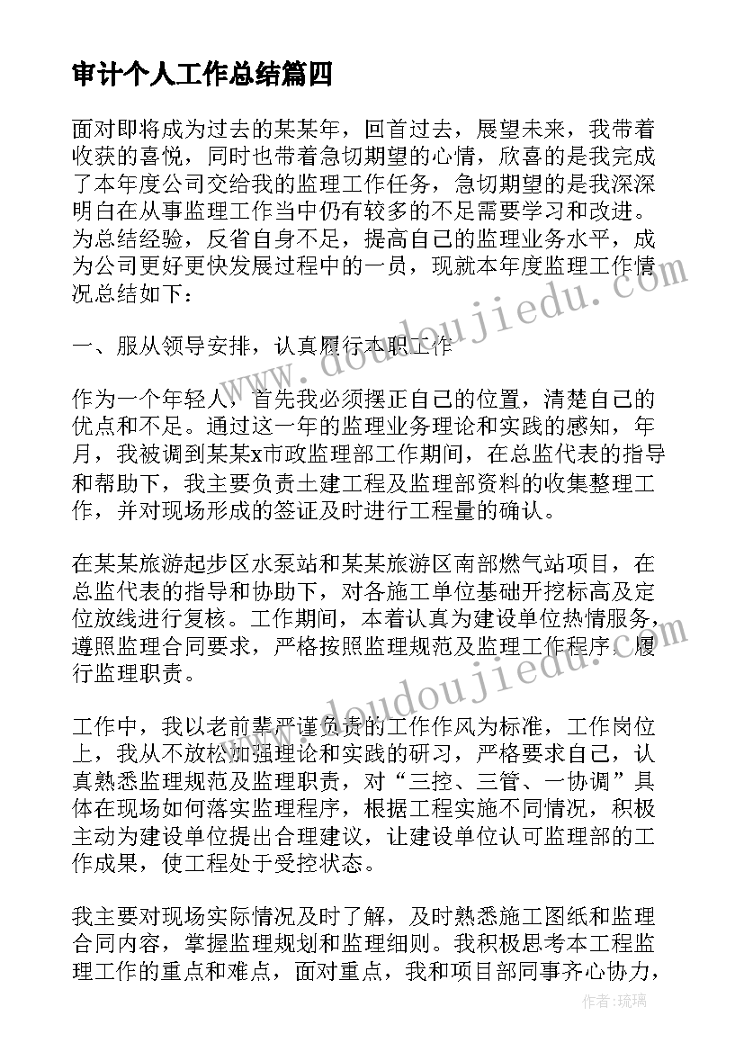 审计个人工作总结(通用5篇)