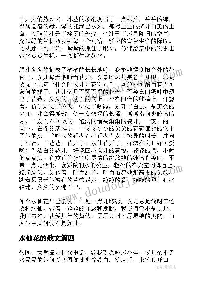 最新水仙花的散文(模板5篇)