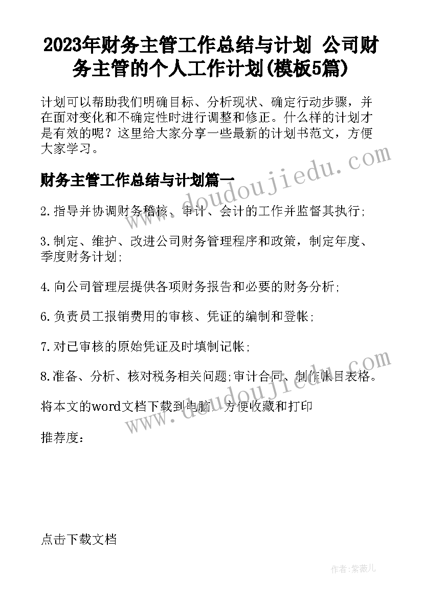 2023年财务主管工作总结与计划 公司财务主管的个人工作计划(模板5篇)