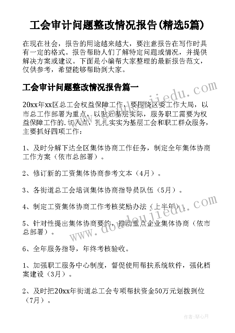 工会审计问题整改情况报告(精选5篇)