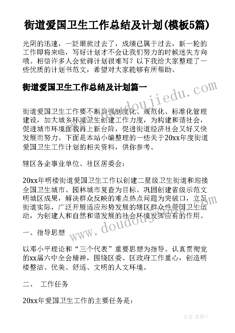 街道爱国卫生工作总结及计划(模板5篇)