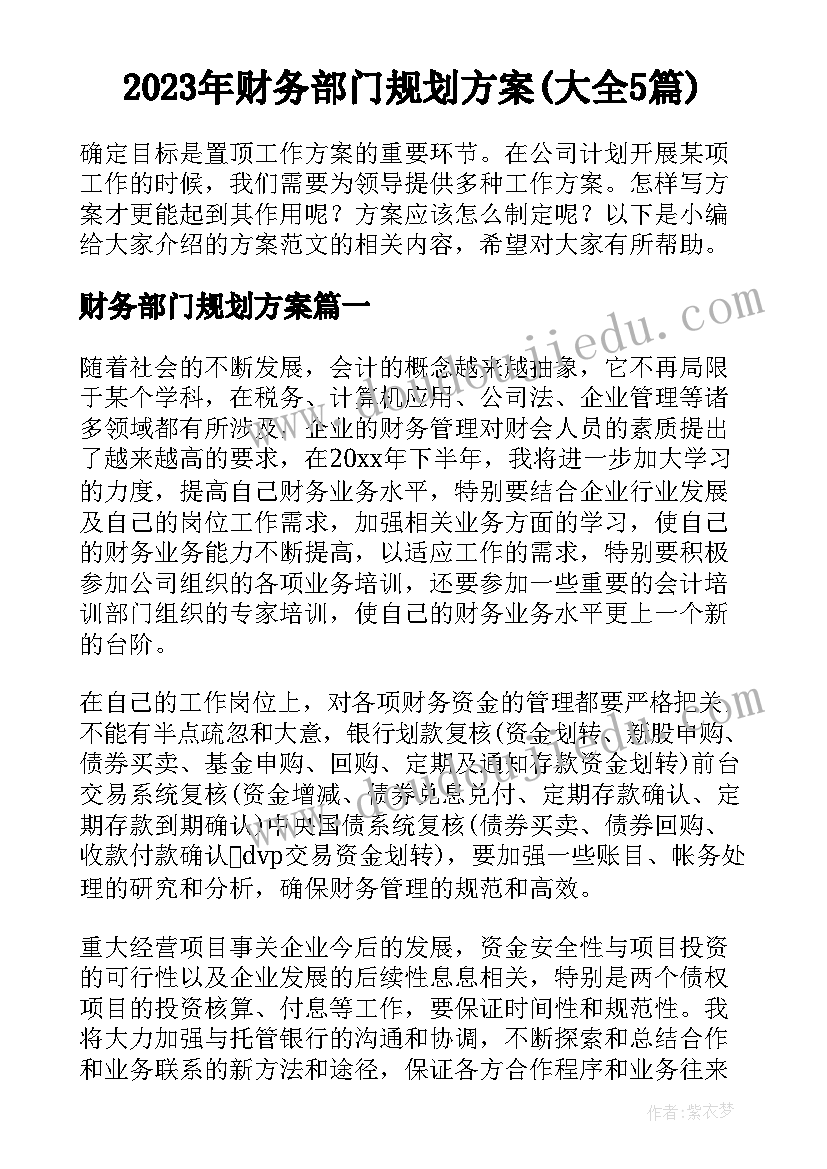 2023年财务部门规划方案(大全5篇)