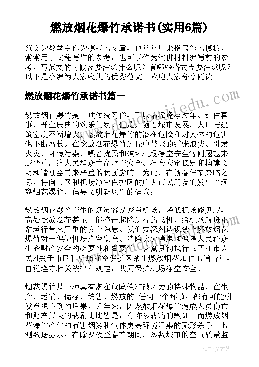 燃放烟花爆竹承诺书(实用6篇)