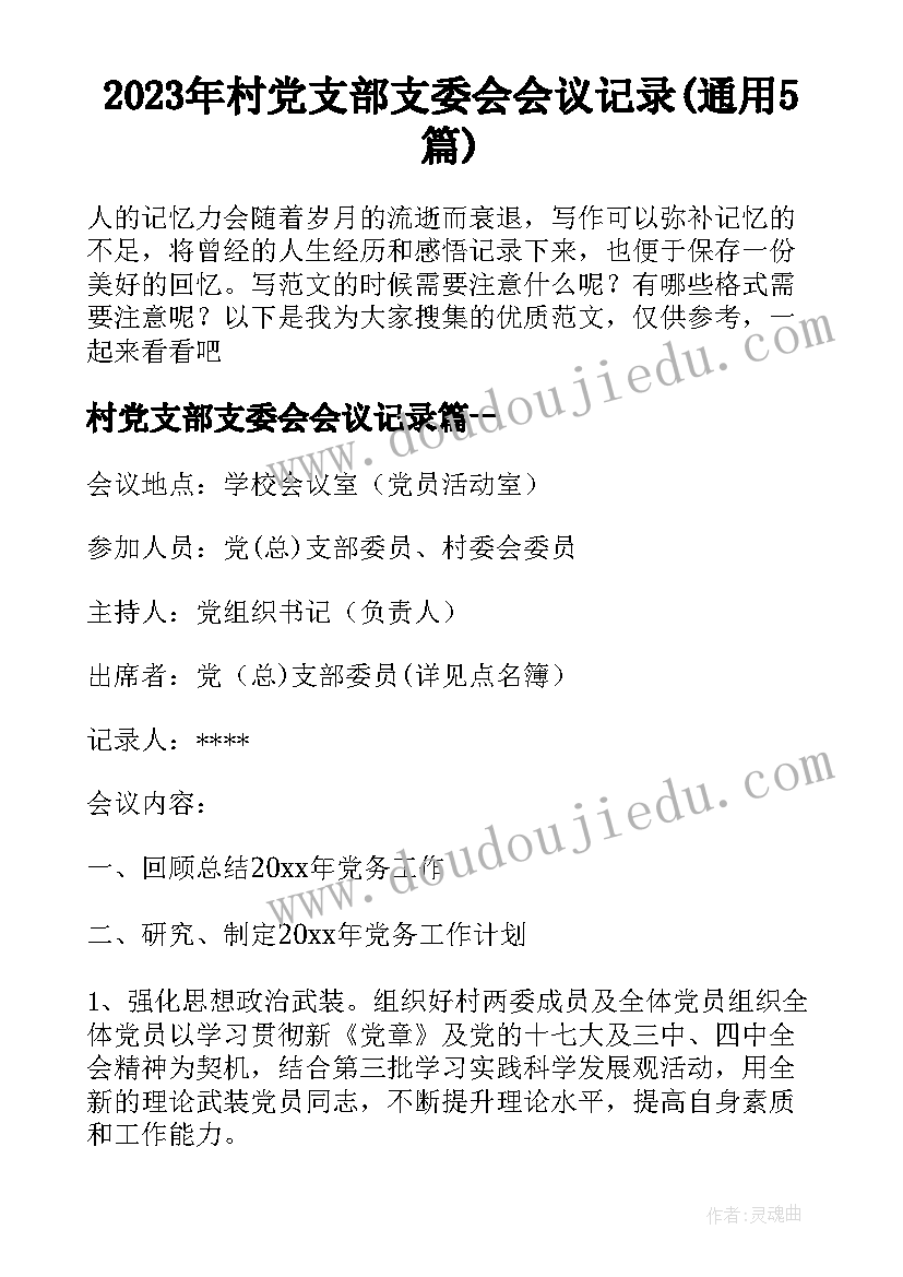 2023年村党支部支委会会议记录(通用5篇)