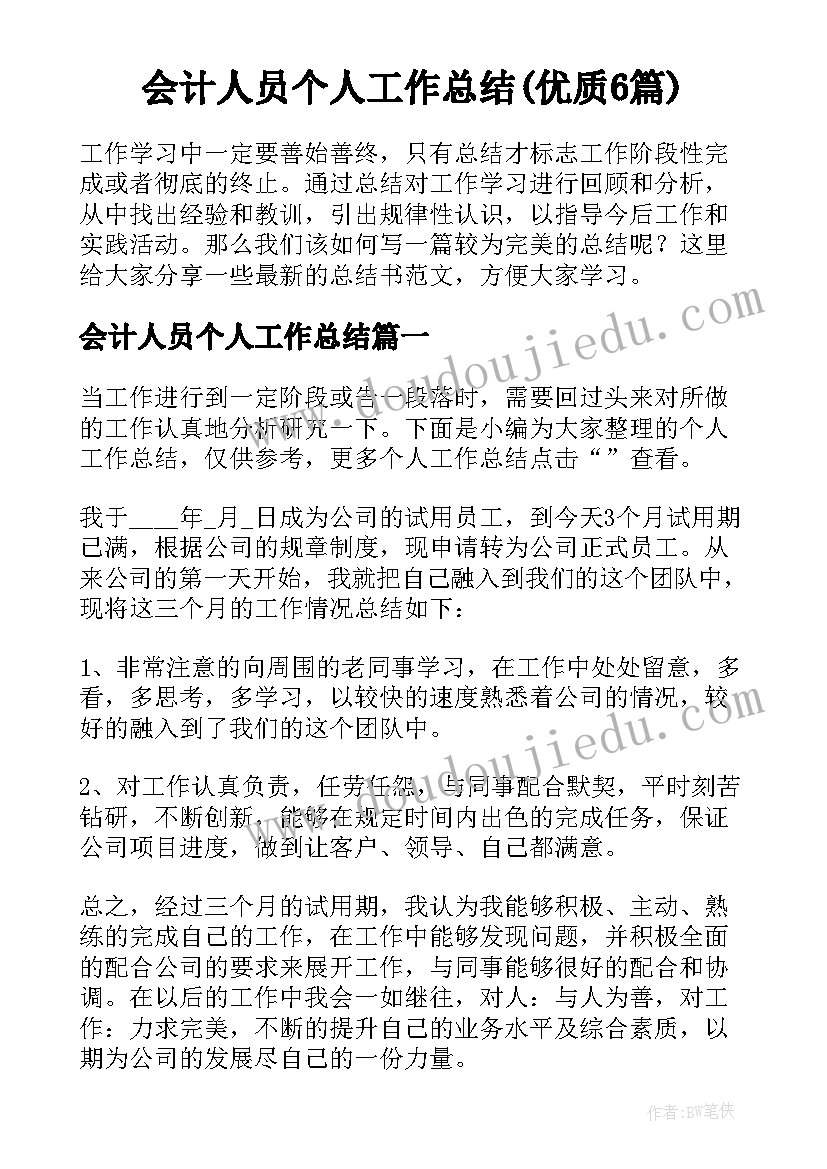 会计人员个人工作总结(优质6篇)