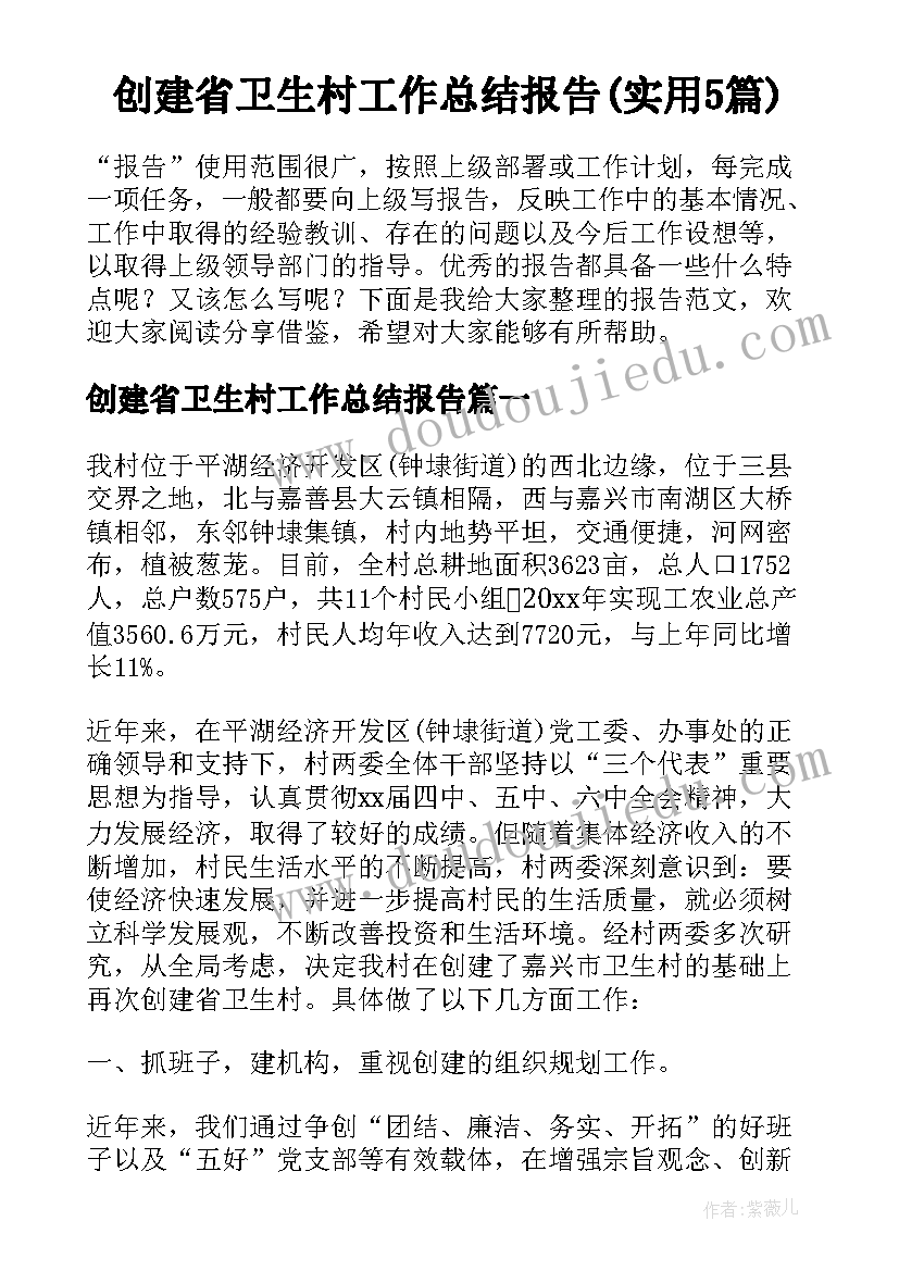 创建省卫生村工作总结报告(实用5篇)