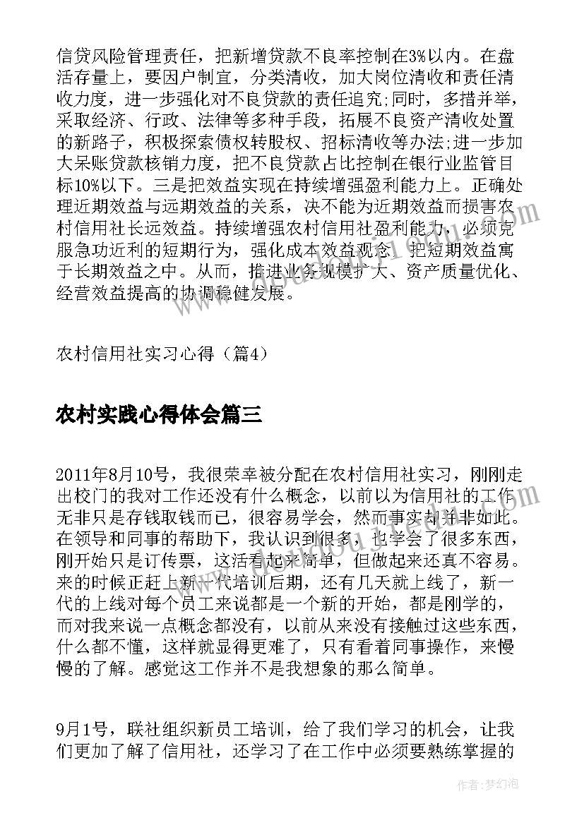 最新农村实践心得体会(汇总5篇)