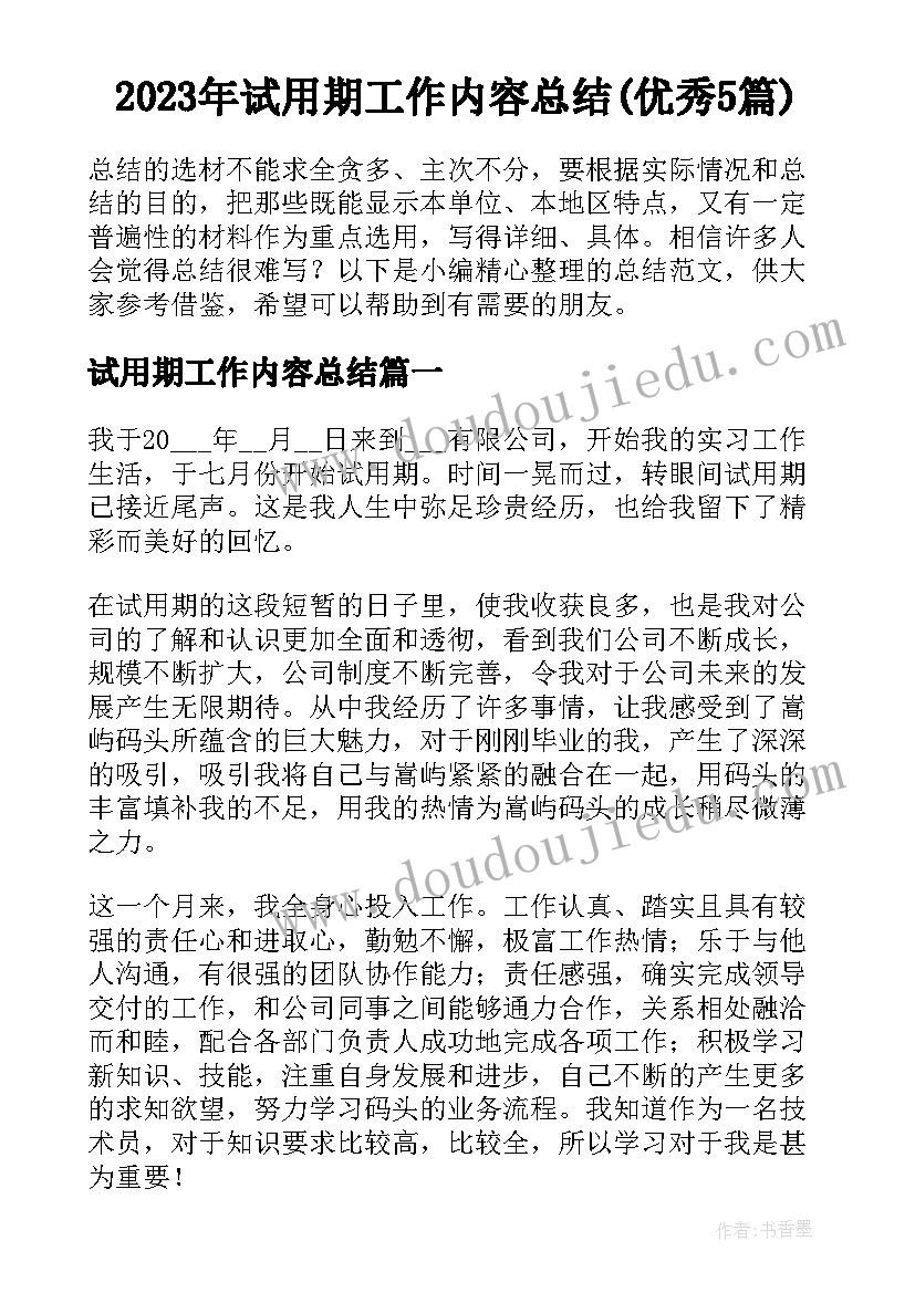 2023年试用期工作内容总结(优秀5篇)