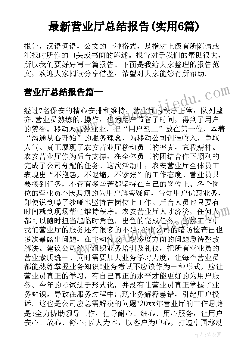 最新营业厅总结报告(实用6篇)