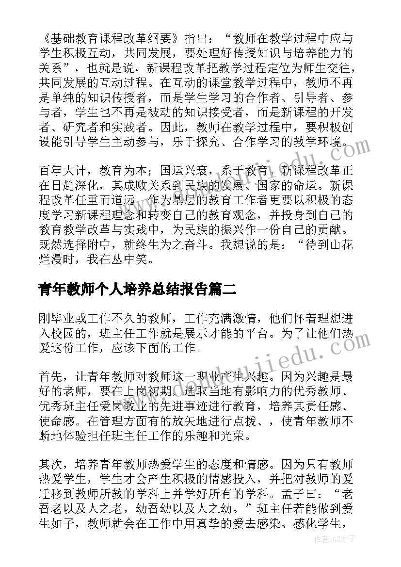 青年教师个人培养总结报告(通用9篇)