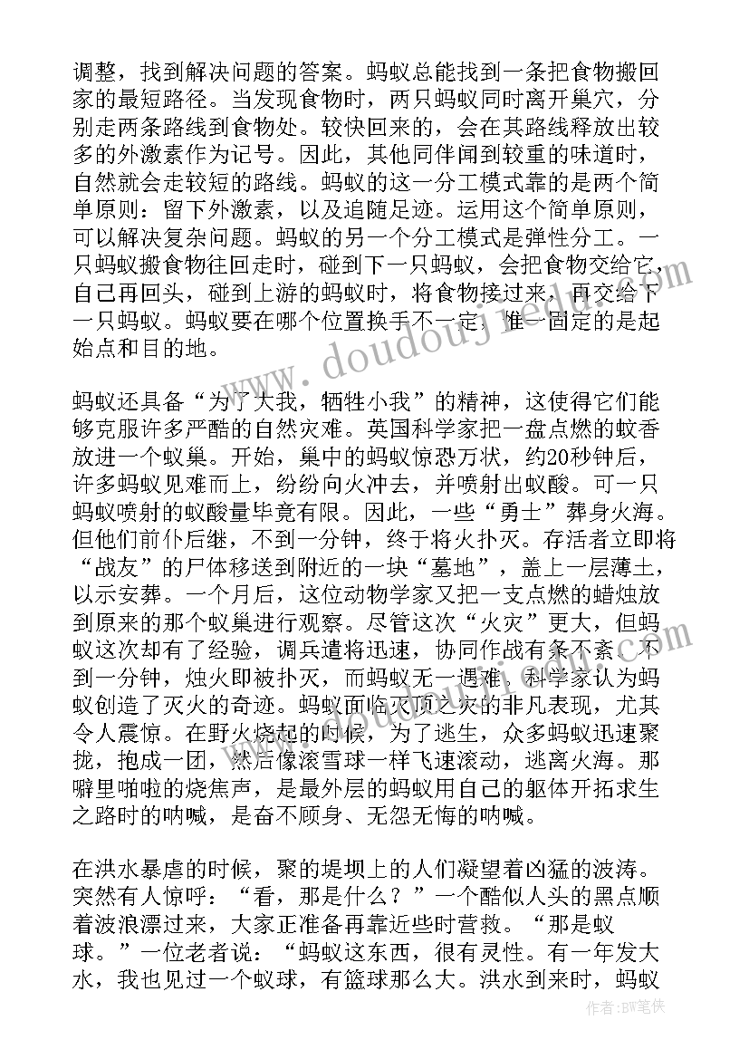 2023年展示青春活力演讲稿 雷锋精神代代传演讲稿三分钟(汇总5篇)