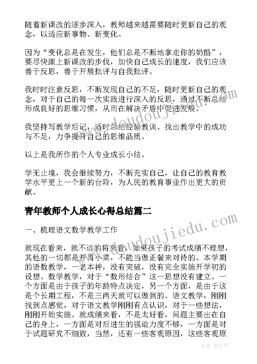 青年教师个人成长心得总结(优秀5篇)