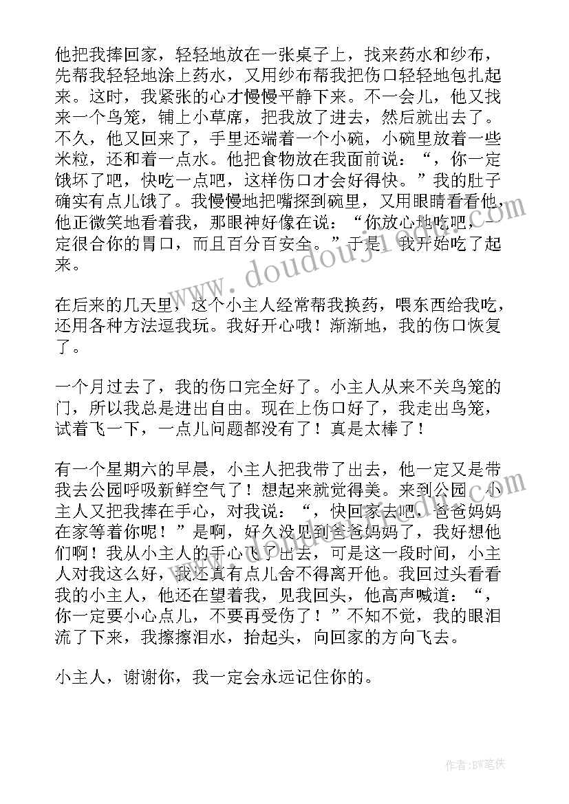 2023年小鸟小鸟音乐教案视频(实用8篇)