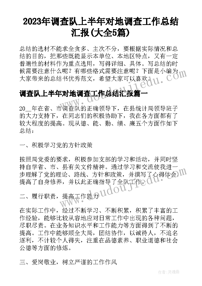 2023年调查队上半年对地调查工作总结汇报(大全5篇)