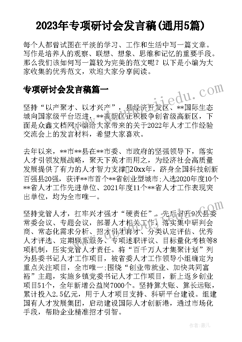 2023年专项研讨会发言稿(通用5篇)