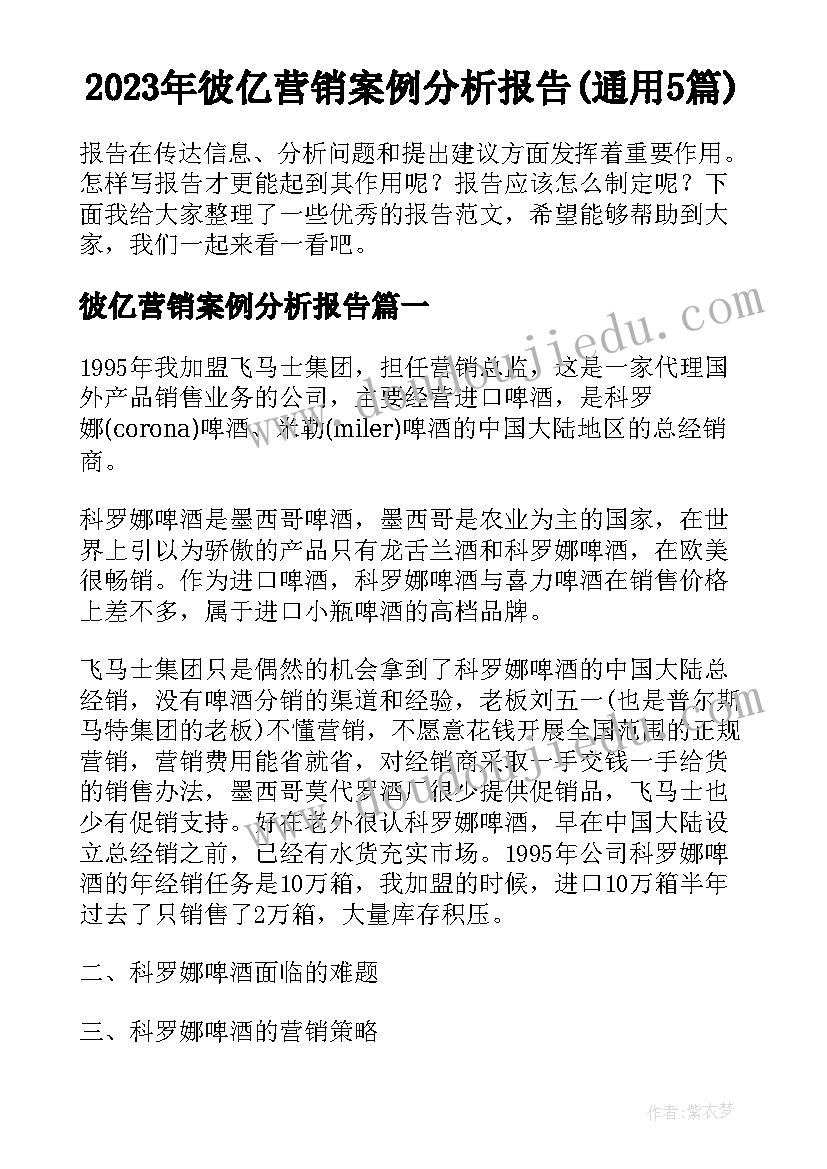 2023年彼亿营销案例分析报告(通用5篇)