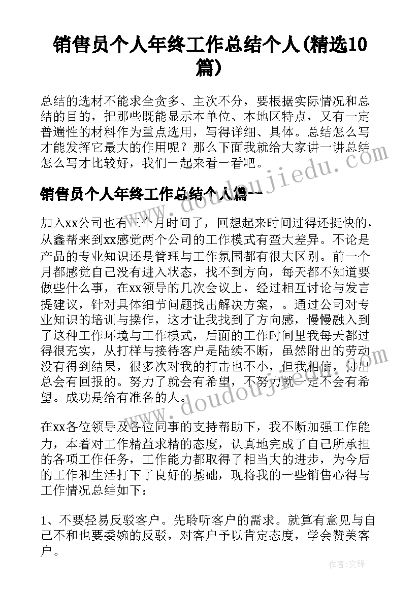 销售员个人年终工作总结个人(精选10篇)