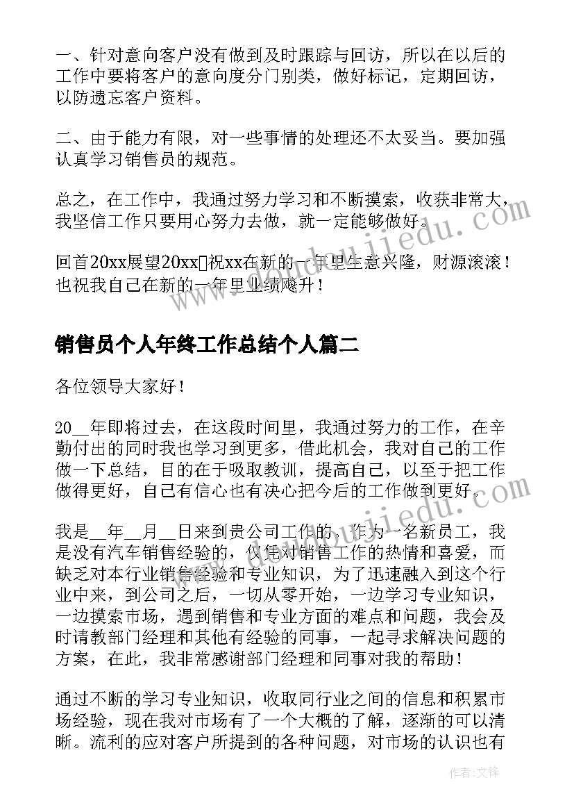 销售员个人年终工作总结个人(精选10篇)