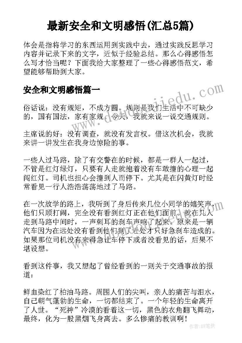 最新安全和文明感悟(汇总5篇)