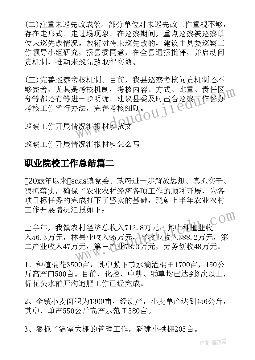 职业院校工作总结(大全5篇)