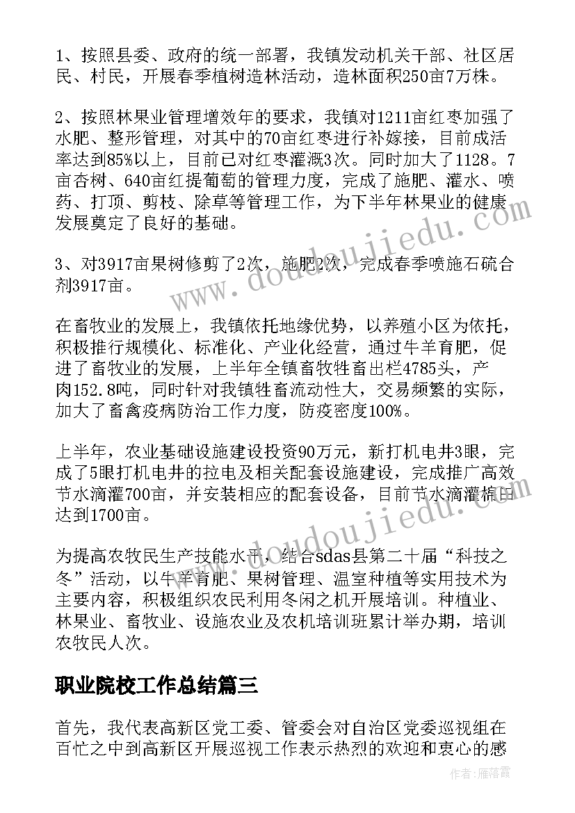 职业院校工作总结(大全5篇)