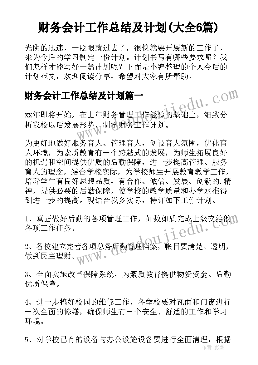 财务会计工作总结及计划(大全6篇)