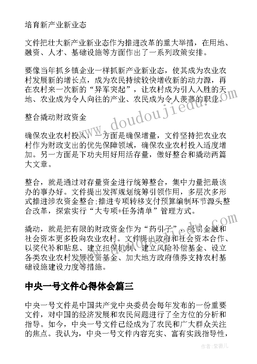 中央一号文件心得体会(精选7篇)