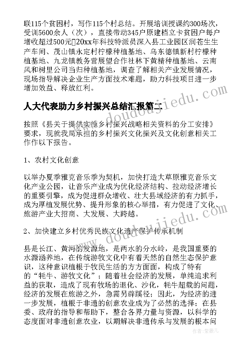 人大代表助力乡村振兴总结汇报(大全5篇)