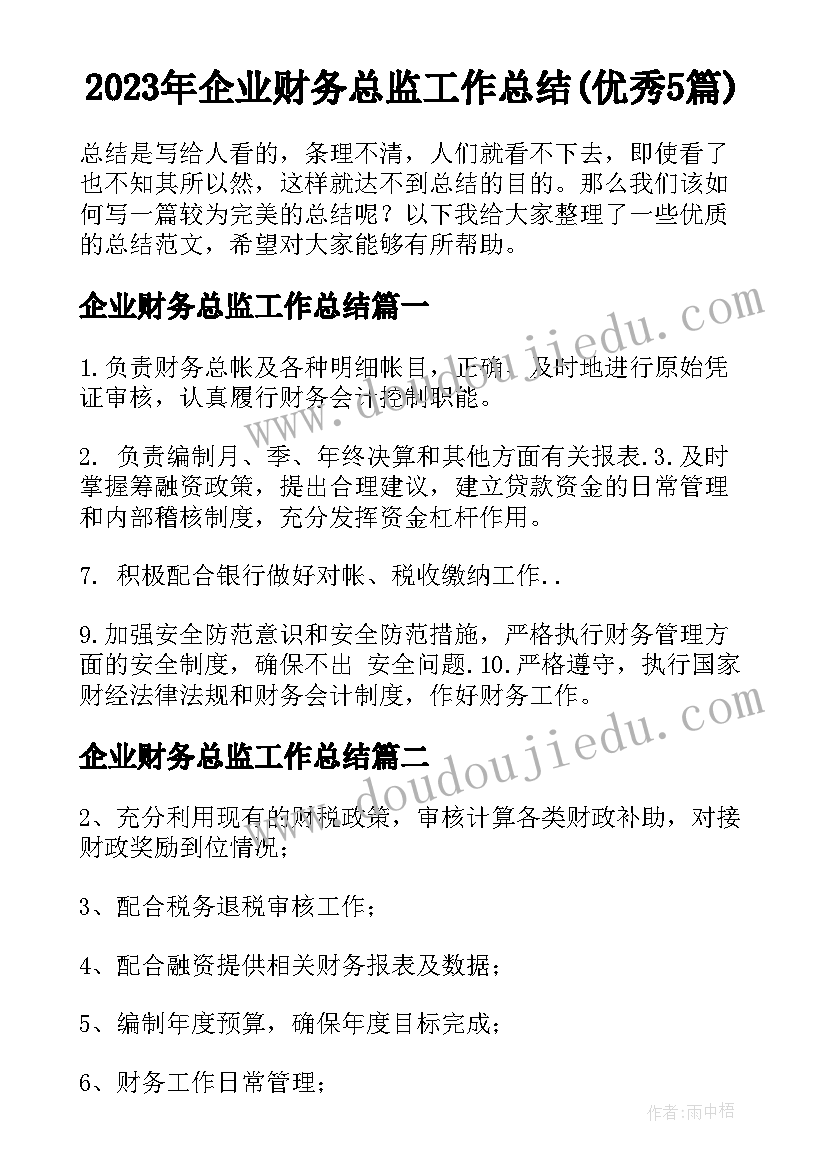 2023年企业财务总监工作总结(优秀5篇)