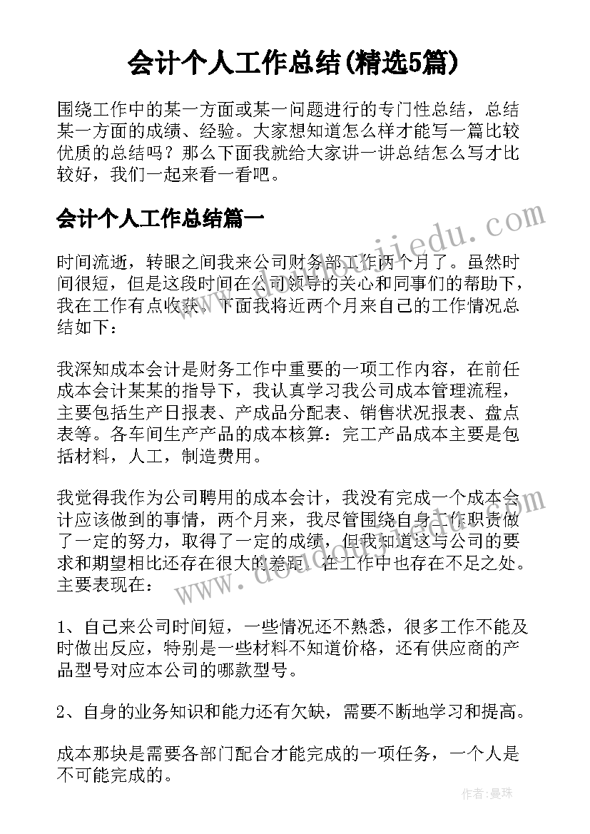 会计个人工作总结(精选5篇)