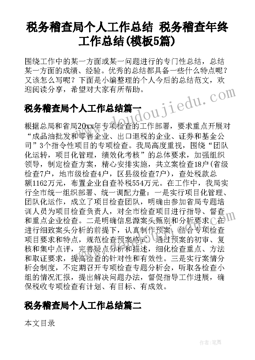 税务稽查局个人工作总结 税务稽查年终工作总结(模板5篇)