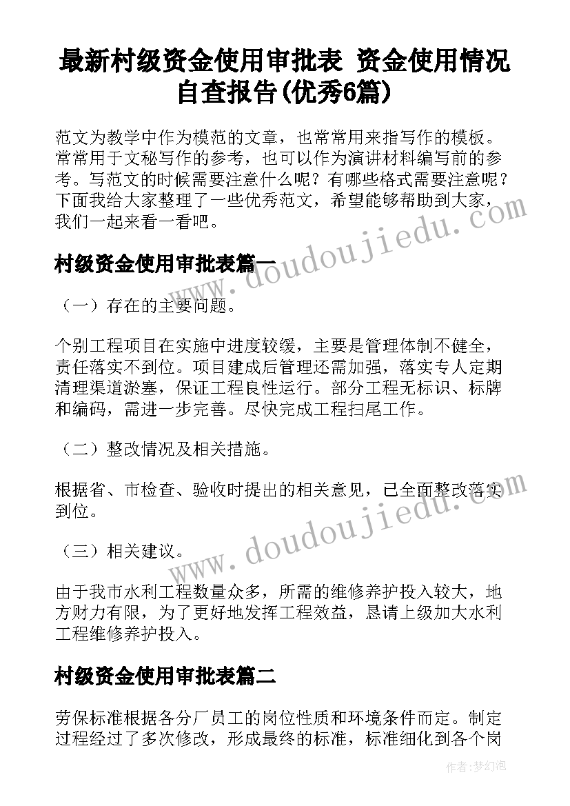 最新村级资金使用审批表 资金使用情况自查报告(优秀6篇)