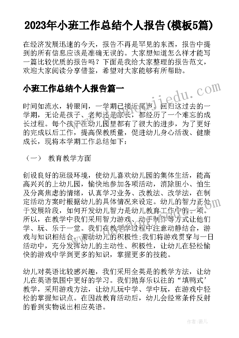 2023年小班工作总结个人报告(模板5篇)