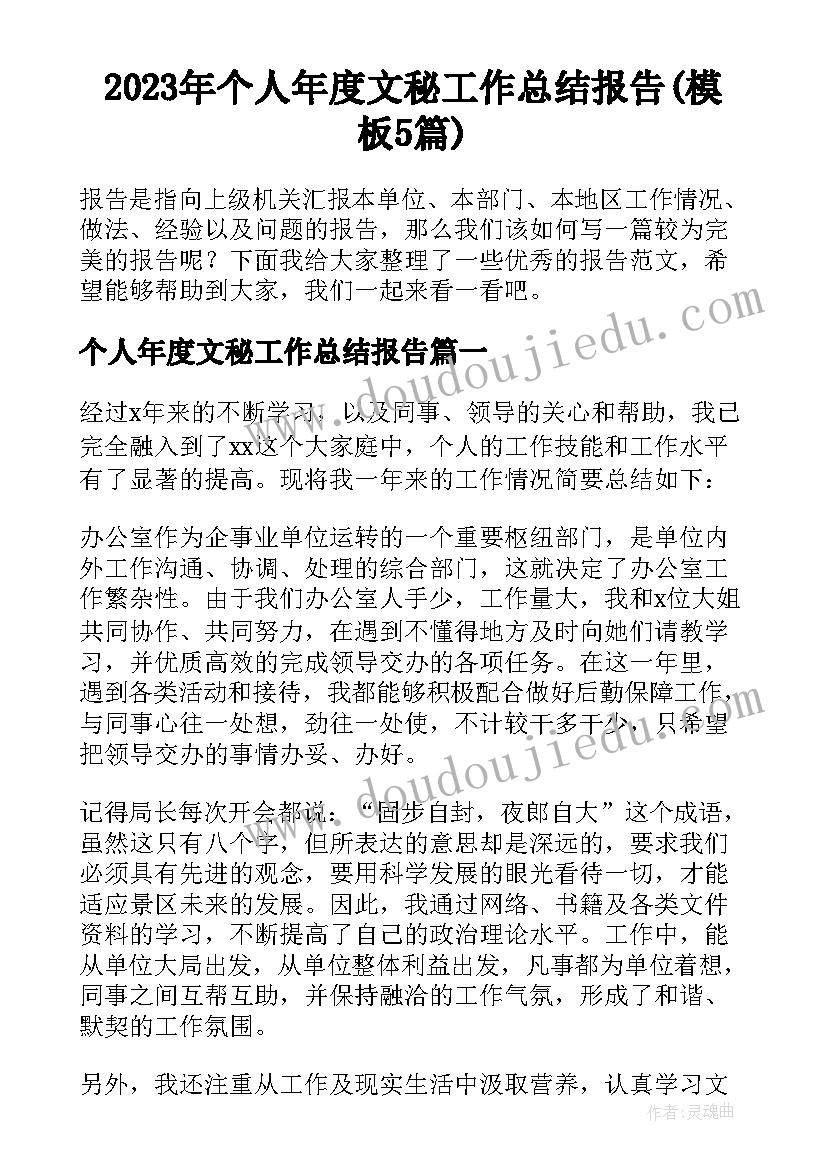 2023年个人年度文秘工作总结报告(模板5篇)