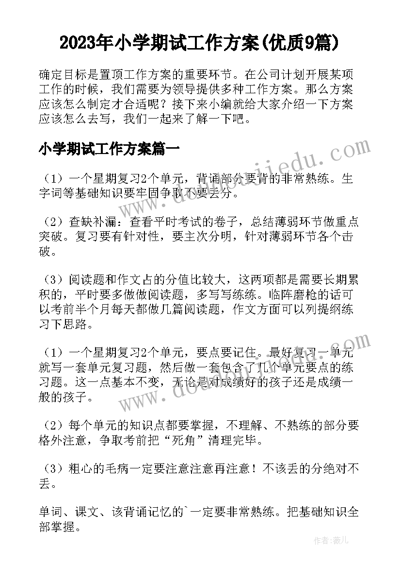 2023年小学期试工作方案(优质9篇)