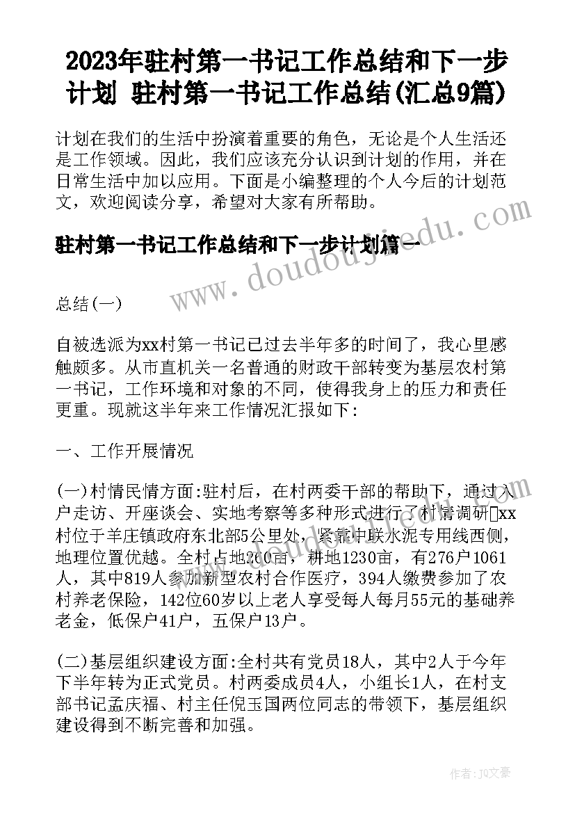 2023年驻村第一书记工作总结和下一步计划 驻村第一书记工作总结(汇总9篇)