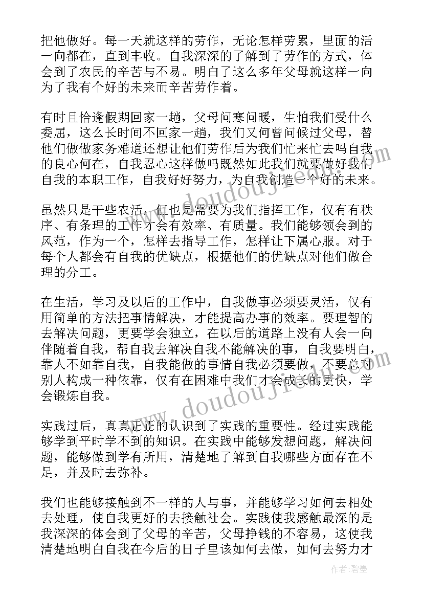 寒假社会实践个人心得感悟(大全5篇)