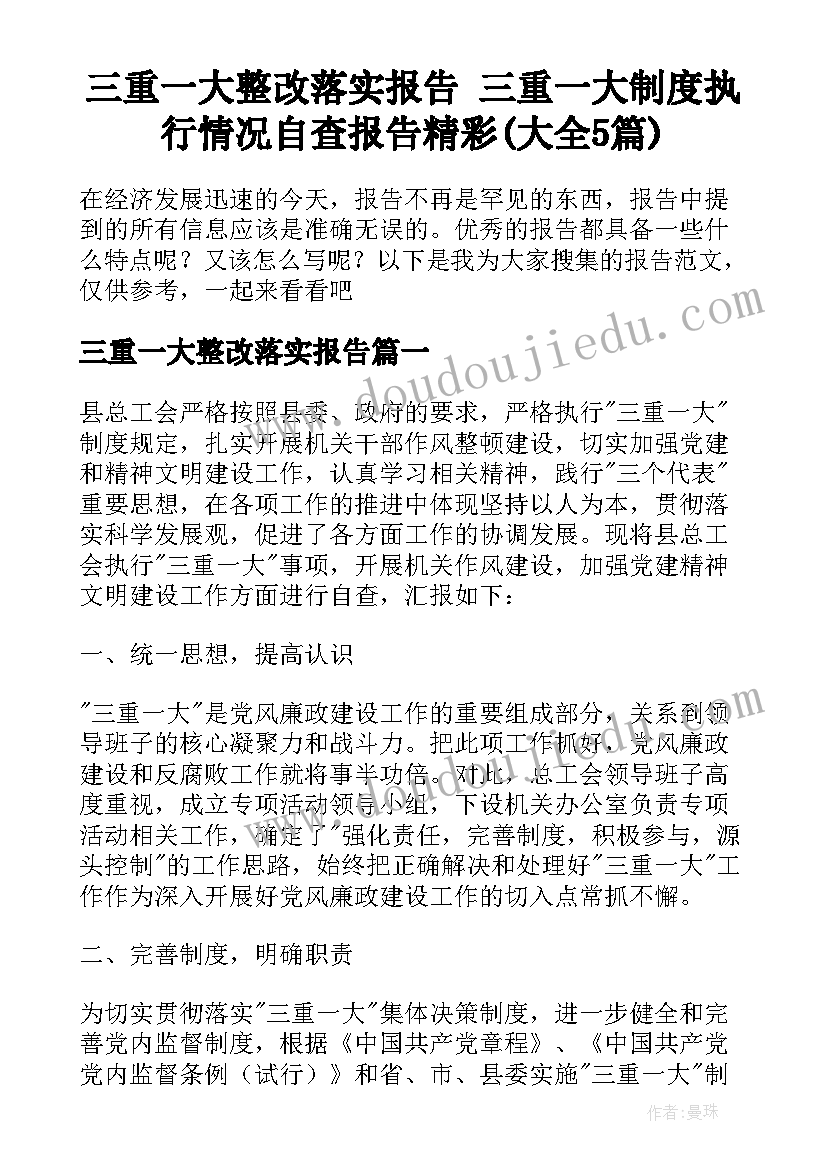 三重一大整改落实报告 三重一大制度执行情况自查报告精彩(大全5篇)