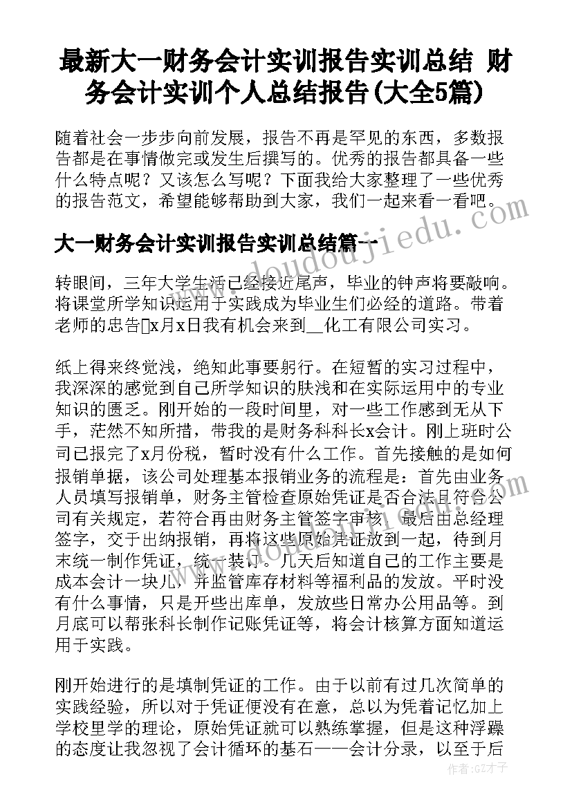 最新大一财务会计实训报告实训总结 财务会计实训个人总结报告(大全5篇)