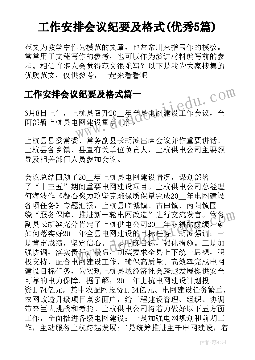 工作安排会议纪要及格式(优秀5篇)