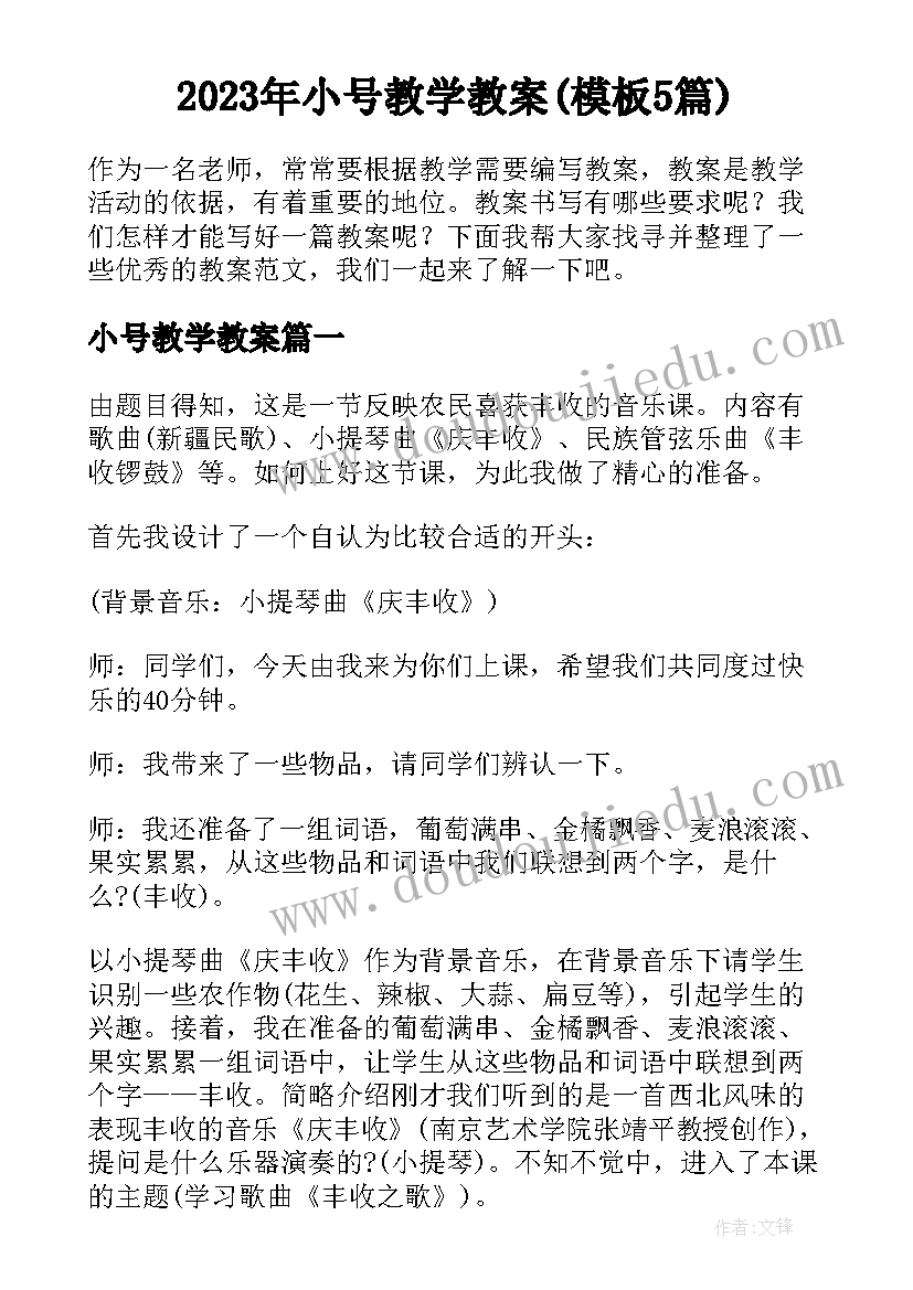 2023年小号教学教案(模板5篇)