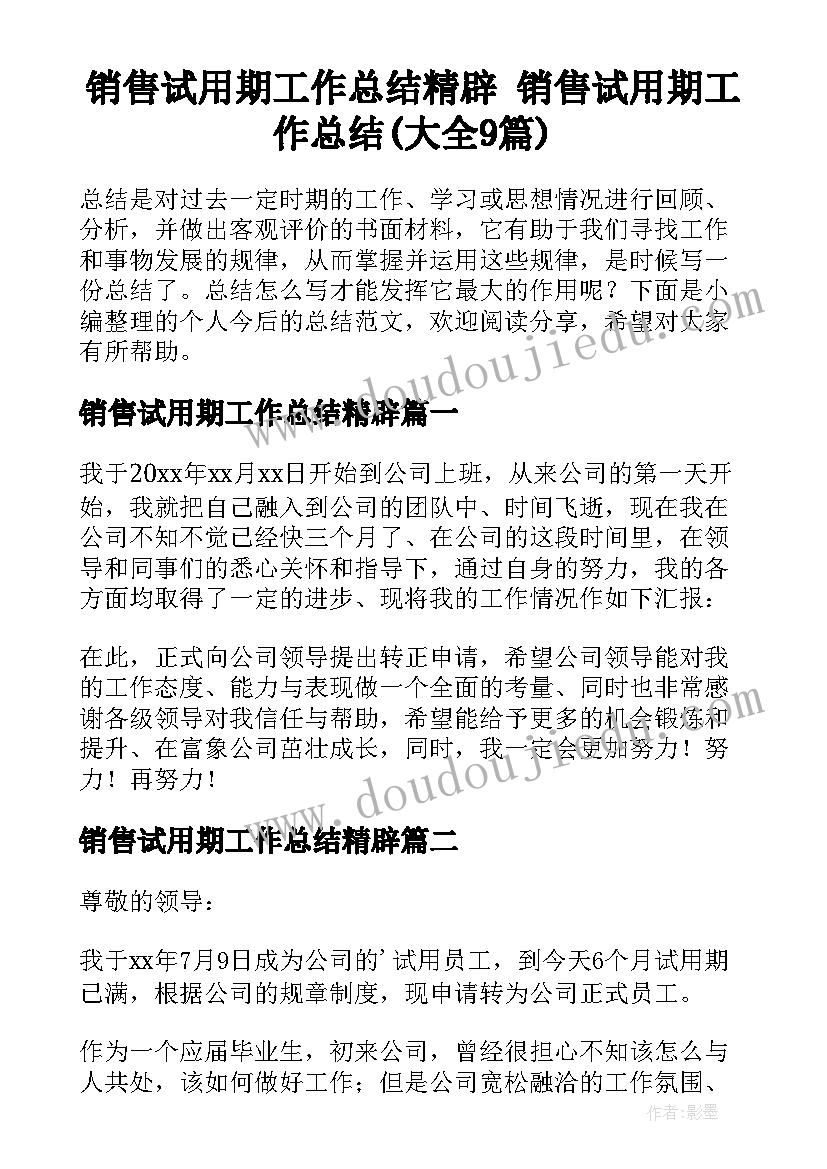 销售试用期工作总结精辟 销售试用期工作总结(大全9篇)