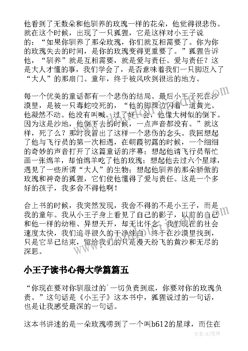 最新小王子读书心得大学篇(模板5篇)