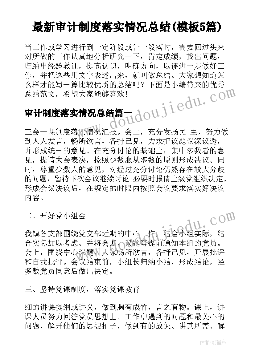 最新审计制度落实情况总结(模板5篇)