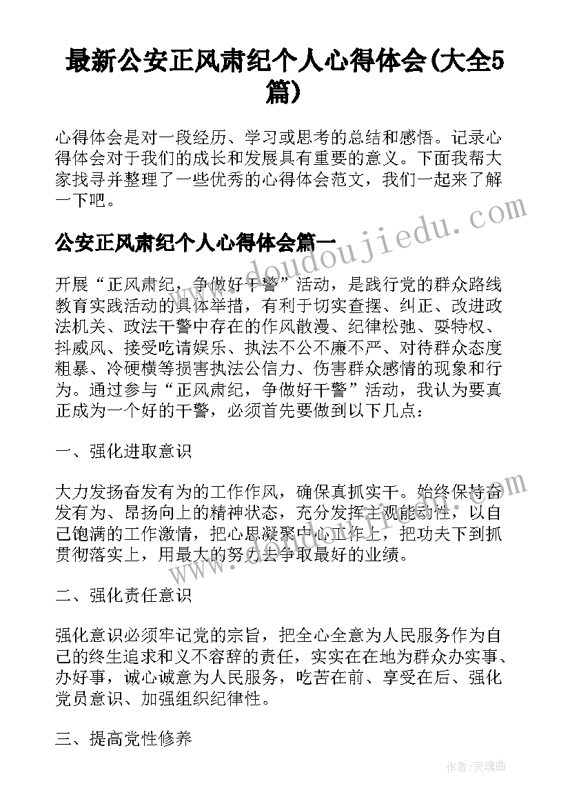 最新公安正风肃纪个人心得体会(大全5篇)